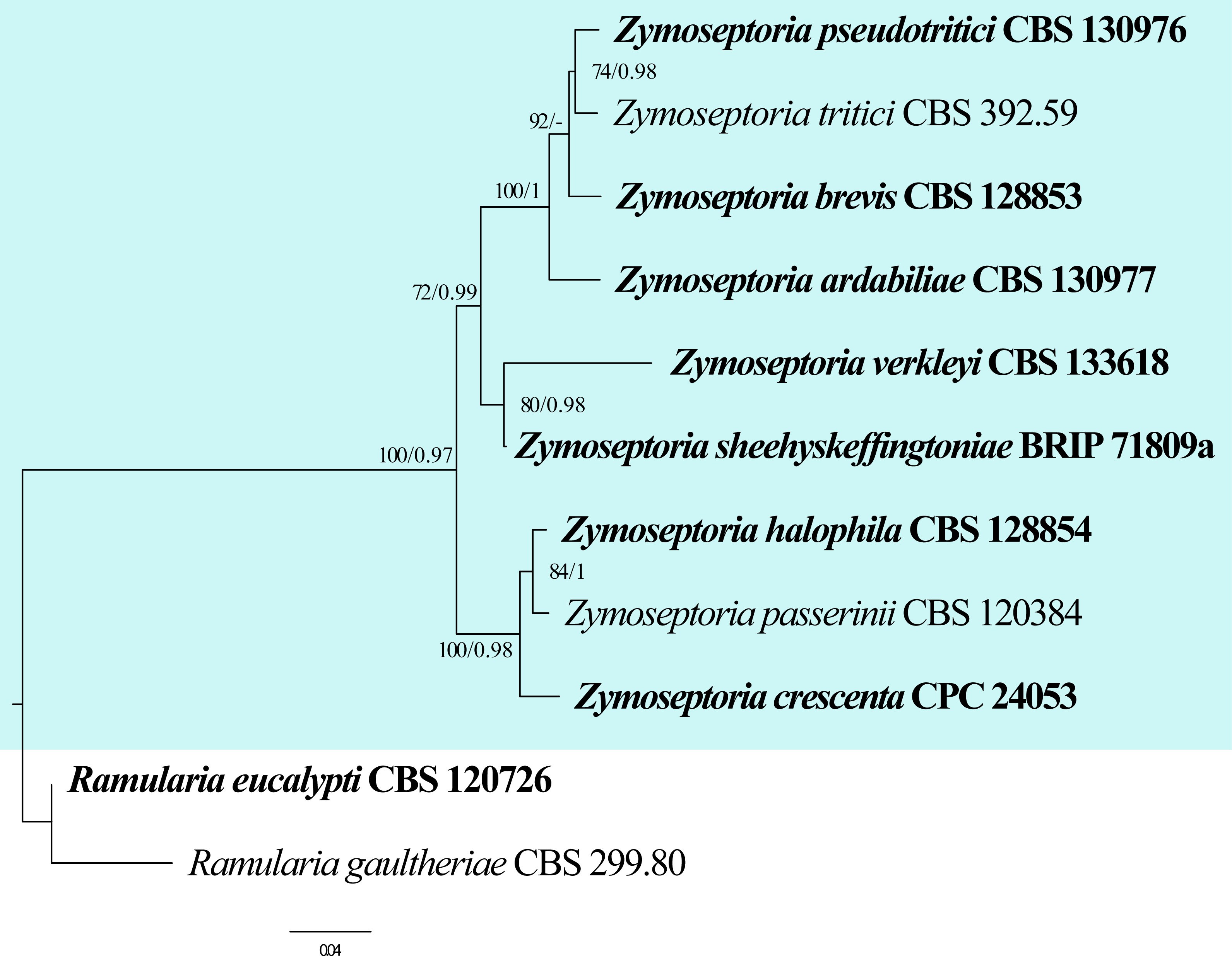 Figure 54